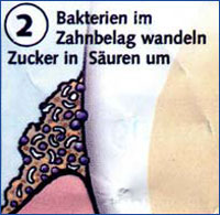 Zahnpflege 002